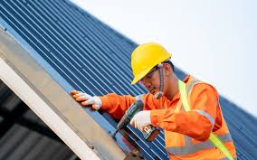 Best Roof Maintenance and Cleaning  in Hidalgo, TX